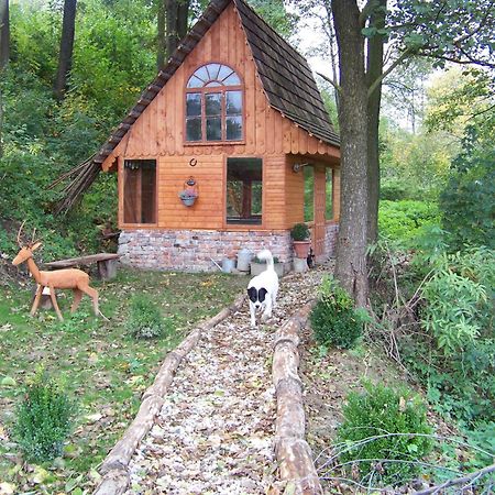 Zbojna Debra Bed & Breakfast Golejow ภายนอก รูปภาพ